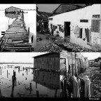 poor loneliness poor loneliness