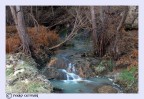 i colori dell'inverno