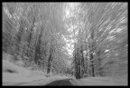 una corsa verso la montagna una corsa verso la montagna