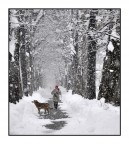 Nulla ci puo' fermar... Nulla ci puo' fermar...