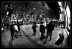 Indifferenza Indifferenza