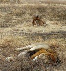 Ti sto guardando... Ti sto guardando...