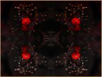 Le bacche di nandina