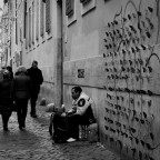 Dream Seller Dream Seller