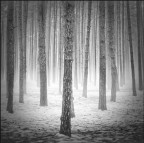 First day in winter First day in winter