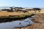 Etiopia Etiopia