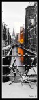 Amsterdam, alba d'inverno Amsterdam, alba d'inverno