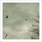 Forme di un silenzio Forme di un silenzio