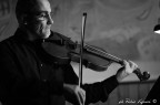 viola 3648 viola 3648