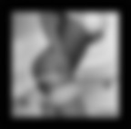 Body of Lucič Body of Lucič