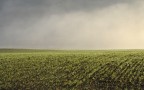st