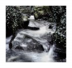 Il piccolo ruscello Il piccolo ruscello