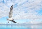 Tra acqua e nuvole Tra acqua e nuvole