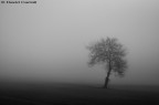 B/W. B/W.