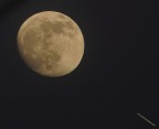 Stasera, guardato la luna Stasera, guardato la luna