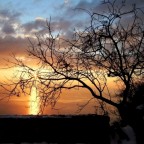 Napoleonica Napoleonica