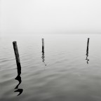 continuare a crederci continuare a crederci