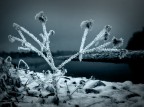 Un freddo inverno Un freddo inverno