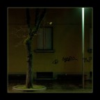 Piccola Luce Piccola Luce