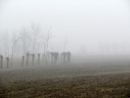 Nebbia Nebbia