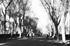 passeggiando a villa borghese passeggiando a villa borghese