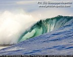 Tahiti Wave Tahiti Wave