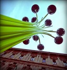 toy camera in milan toy camera in milan