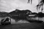 Fall in Bled Fall in Bled