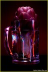Carciofo in boccale - Light Painting - Carciofo in boccale - Light Painting -