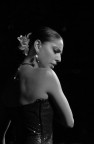 flamenco 3 flamenco 3