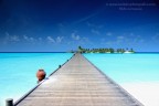 Maldive - Sun Island