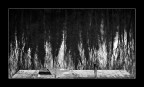 Reno my River