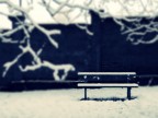 Winter #2