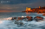 ...golden light ...golden light