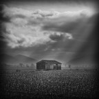 Poi ci penso... Poi ci penso...