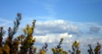 cielo d'autunno cielo d'autunno