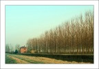 Fughe verso casa