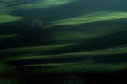Ipotesi verde Ipotesi verde