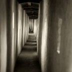 Percorso obbligato, lungo e tortuoso Percorso obbligato, lungo e tortuoso