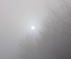 una luce tra la nebbia