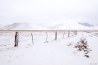 Castelluccio Winter 2011 #1