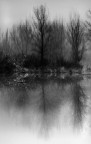 Scorre lento il fiume Scorre lento il fiume