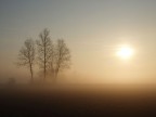 l'alba l'alba