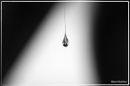 Goccia pendente Goccia pendente