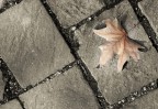 Autunno Autunno