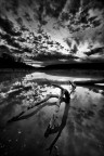 La morte nel lago La morte nel lago