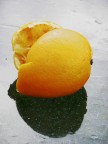Passeggiando SOPRA il lago ( Weissensee-Austria ) ho notato quest'arancia probabilmente "frutto" di un lancio fatto da riva.......ogni critica  ben accetta!