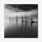 BUIE DENSITA' BUIE DENSITA'