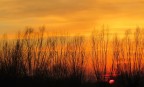 Tramonto Tramonto