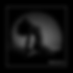 Silhouette Silhouette